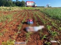 Homem morre após ser ejetado em capotamento em Santa Helena Homem morre após ser ejetado em capotamento em Santa Helena