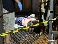 Homem é morto a facadas durante a madrugada no Bairro Cidade Nova II Homem é morto a facadas durante a madrugada no Bairro Cidade Nova II