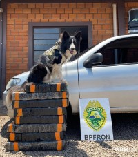 BPFRON apreende 97,6 Kg de maconha em Marechal Cândido Rondon BPFRON apreende 97,6 Kg de maconha em Marechal Cândido Rondon