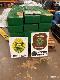 BPFRON e NEPOM apreendem 521,8 Kg de maconha em Santa Helena BPFRON e NEPOM apreendem 521,8 Kg de maconha em Santa Helena