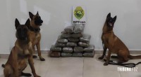 BPFRON prende homem com 18 Kg de maconha em Santo Antônio do Sudoeste BPFRON prende homem com 18 Kg de maconha em Santo Antônio do Sudoeste