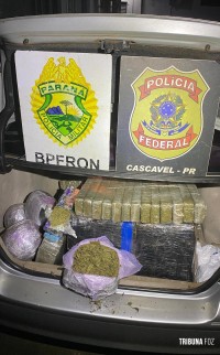 BPFRON e Policia Federal apreendem maconha e prendem homem em Santa Tereza do Oeste BPFRON e Policia Federal apreendem maconha e prendem homem em Santa Tereza do Oeste