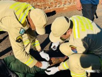 Motociclista fica ferido após ser fechado por caminhão na Av. Fiorino Brol Motociclista fica ferido após ser fechado por caminhão na Av. Fiorino Brol