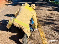 Motociclista fica ferido após ser fechado por caminhão na Av. Fiorino Brol Motociclista fica ferido após ser fechado por caminhão na Av. Fiorino Brol