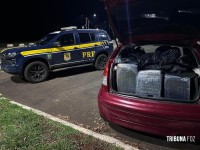 PRF prende foragido e apreende 416 quilos de maconha na BR-277 PRF prende foragido e apreende 416 quilos de maconha na BR-277