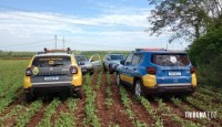 Veículos roubados são recuperados em fazenda na área rural de São Miguel do Iguaçu Veículos roubados são recuperados em fazenda na área rural de São Miguel do Iguaçu