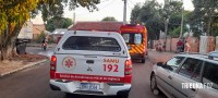 Criança de dois anos é resgatada com vida após horas desaparecida na mata na Vila Carimã Criança de dois anos é resgatada com vida após horas desaparecida na mata na Vila Carimã