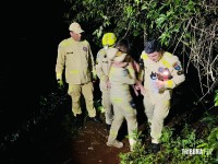 Criança de dois anos é resgatada com vida após horas desaparecida na mata na Vila Carimã Criança de dois anos é resgatada com vida após horas desaparecida na mata na Vila Carimã
