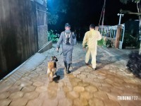 Criança de dois anos é resgatada com vida após horas desaparecida na mata na Vila Carimã Criança de dois anos é resgatada com vida após horas desaparecida na mata na Vila Carimã