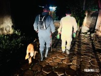 Criança de dois anos é resgatada com vida após horas desaparecida na mata na Vila Carimã Criança de dois anos é resgatada com vida após horas desaparecida na mata na Vila Carimã
