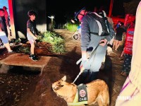 Criança de dois anos é resgatada com vida após horas desaparecida na mata na Vila Carimã Criança de dois anos é resgatada com vida após horas desaparecida na mata na Vila Carimã