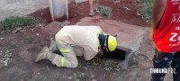 Criança de dois anos é resgatada com vida após horas desaparecida na mata na Vila Carimã Criança de dois anos é resgatada com vida após horas desaparecida na mata na Vila Carimã
