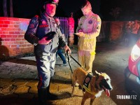 Criança de dois anos é resgatada com vida após horas desaparecida na mata na Vila Carimã Criança de dois anos é resgatada com vida após horas desaparecida na mata na Vila Carimã