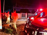 Criança de dois anos é resgatada com vida após horas desaparecida na mata na Vila Carimã Criança de dois anos é resgatada com vida após horas desaparecida na mata na Vila Carimã
