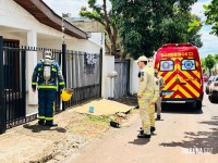 Panela esquecida no fogo mobiliza o Corpo de Bombeiros na Vila Miranda Panela esquecida no fogo mobiliza o Corpo de Bombeiros na Vila Miranda