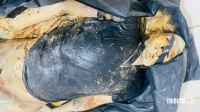 Corpo é encontrado boiando dentro de um saco no Rio Paraná Corpo é encontrado boiando dentro de um saco no Rio Paraná