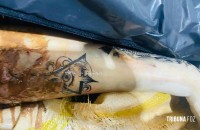 Corpo é encontrado boiando dentro de um saco no Rio Paraná Corpo é encontrado boiando dentro de um saco no Rio Paraná
