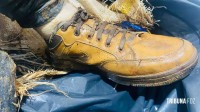 Corpo é encontrado boiando dentro de um saco no Rio Paraná Corpo é encontrado boiando dentro de um saco no Rio Paraná