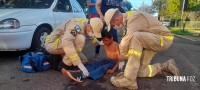 Criança é atropelada por ciclista ao sair do colégio no Bairro Porto Meira Criança é atropelada por ciclista ao sair do colégio no Bairro Porto Meira