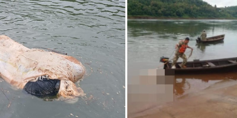 Corpo é encontrado boiando dentro de um saco no Rio Paraná Corpo é encontrado boiando dentro de um saco no Rio Paraná
