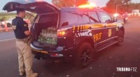 PRF apreende 277 tabletes de maconha e prenderam duas paraguaias na BR-277 em Céu Azul PRF apreende 277 tabletes de maconha e prenderam duas paraguaias na BR-277 em Céu Azul