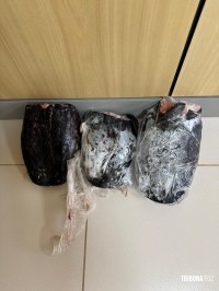 Polícia Federal cumpre mandado de busca e apreensão contra caça no Parque Nacional do Iguaçu Polícia Federal cumpre mandado de busca e apreensão contra caça no Parque Nacional do Iguaçu