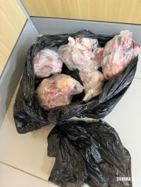 Polícia Federal cumpre mandado de busca e apreensão contra caça no Parque Nacional do Iguaçu Polícia Federal cumpre mandado de busca e apreensão contra caça no Parque Nacional do Iguaçu