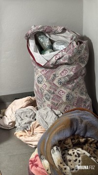 Policia Federal deflagra operação contra o tráfico internacional de armas e drogas na região sul Policia Federal deflagra operação contra o tráfico internacional de armas e drogas na região sul