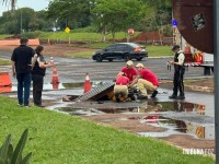 Bombeiros resgatam cachorrinho que caiu em bueiro na aduana brasileira em Foz do Iguaçu Bombeiros resgatam cachorrinho que caiu em bueiro na aduana brasileira em Foz do Iguaçu