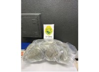 Polícia Militar apreende quase 10 Kg de drogas em residência abandonada Polícia Militar apreende quase 10 Kg de drogas em residência abandonada