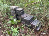 PF e PM apreendem 952,3 Kg de maconha às margens do Lago de Itaipu em Itaipulândia PF e PM apreendem 952,3 Kg de maconha às margens do Lago de Itaipu em Itaipulândia