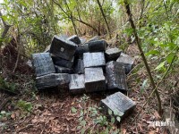PF e PM apreendem 952,3 Kg de maconha às margens do Lago de Itaipu em Itaipulândia PF e PM apreendem 952,3 Kg de maconha às margens do Lago de Itaipu em Itaipulândia