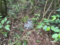 PF e PM apreendem 952,3 Kg de maconha às margens do Lago de Itaipu em Itaipulândia PF e PM apreendem 952,3 Kg de maconha às margens do Lago de Itaipu em Itaipulândia