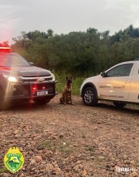 BPFRON recupera veiculo furtado em Santo Antônio do Sudoeste BPFRON recupera veiculo furtado em Santo Antônio do Sudoeste