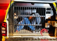 Polícia Militar intercepta duas caminhonetes roubadas e prende duas pessoas Polícia Militar intercepta duas caminhonetes roubadas e prende duas pessoas