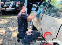 DENARC prende quatro pessoas e apreende 233 Kg de maconha na BR-277 após investigação DENARC prende quatro pessoas e apreende 233 Kg de maconha na BR-277 após investigação