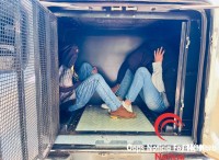 DENARC prende quatro pessoas e apreende 233 Kg de maconha na BR-277 após investigação DENARC prende quatro pessoas e apreende 233 Kg de maconha na BR-277 após investigação