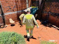 Mulher é morta com três tiros na Vila Brás Mulher é morta com três tiros na Vila Brás