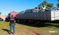 Paraguai apreende maior carga de maconha de sua história próximo à fronteira com o Brasil Paraguai apreende maior carga de maconha de sua história próximo à fronteira com o Brasil