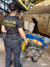 Delegacia da Polícia Federal de Foz do Iguaçu incinera mais de 11,8 toneladas de drogas Delegacia da Polícia Federal de Foz do Iguaçu incinera mais de 11,8 toneladas de drogas