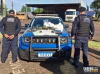 Guarda Municipal de SMI apreende canetas emagrecedoras, medicamentos e celulares contrabandeados em ponto de embarque para tratamento médico em Curitiba Guarda Municipal de SMI apreende canetas emagrecedoras, medicamentos e celulares contrabandeados em ponto de embarque para tratamento médico em Curitiba