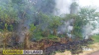 Bombeiros controlam incêndio em vegetação na Linha União, área rural de Santa Helena Bombeiros controlam incêndio em vegetação na Linha União, área rural de Santa Helena