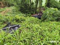 Mulher fica ferida após capotamento na rodovia em Marechal Cândido Rondon Mulher fica ferida após capotamento na rodovia em Marechal Cândido Rondon