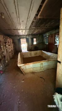 Policia Federal deflagra operação para combater a caça ilegal no Parque Nacional do Iguaçu Policia Federal deflagra operação para combater a caça ilegal no Parque Nacional do Iguaçu