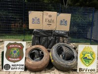 PF e PM realizam sete apreensões às margens do Rio Paraná em Foz do Iguaçu PF e PM realizam sete apreensões às margens do Rio Paraná em Foz do Iguaçu