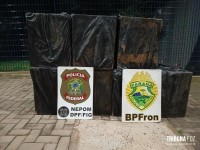 PF e PM realizam sete apreensões às margens do Rio Paraná em Foz do Iguaçu PF e PM realizam sete apreensões às margens do Rio Paraná em Foz do Iguaçu