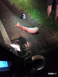 Colisão frontal deixa um morto e dois feridos graves em Santa Terezinha de Itaipu Colisão frontal deixa um morto e dois feridos graves em Santa Terezinha de Itaipu