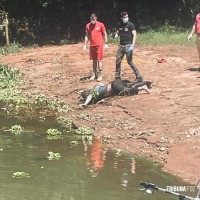 Corpo em avançado estado de decomposição é encontrado no Balneário Ipiranga em São Miguel do Iguaçu Corpo em avançado estado de decomposição é encontrado no Balneário Ipiranga em São Miguel do Iguaçu