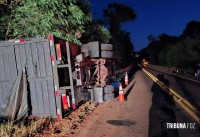 Motorista morre após grave acidente na PR-495 na cidade de Missal Motorista morre após grave acidente na PR-495 na cidade de Missal