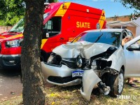 Motorista bate em árvore, recusa atendimento e é preso pela PM por embriaguês ao volante em Foz do Iguaçu Motorista bate em árvore, recusa atendimento e é preso pela PM por embriaguês ao volante em Foz do Iguaçu
